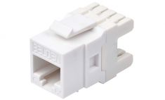 Nhân mạng cat6 Belden